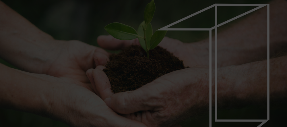 Sustainability banner